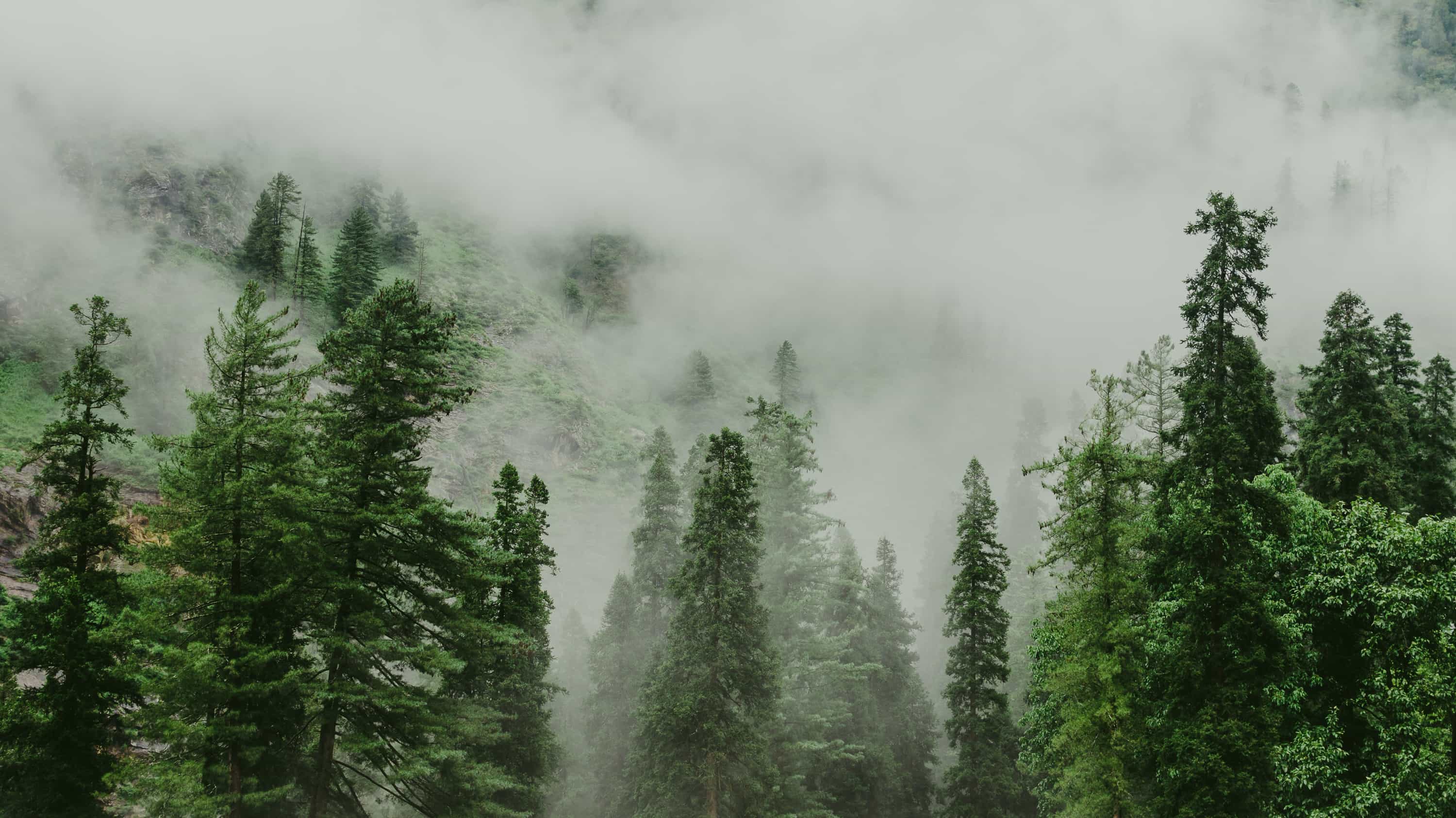 blog-image-0