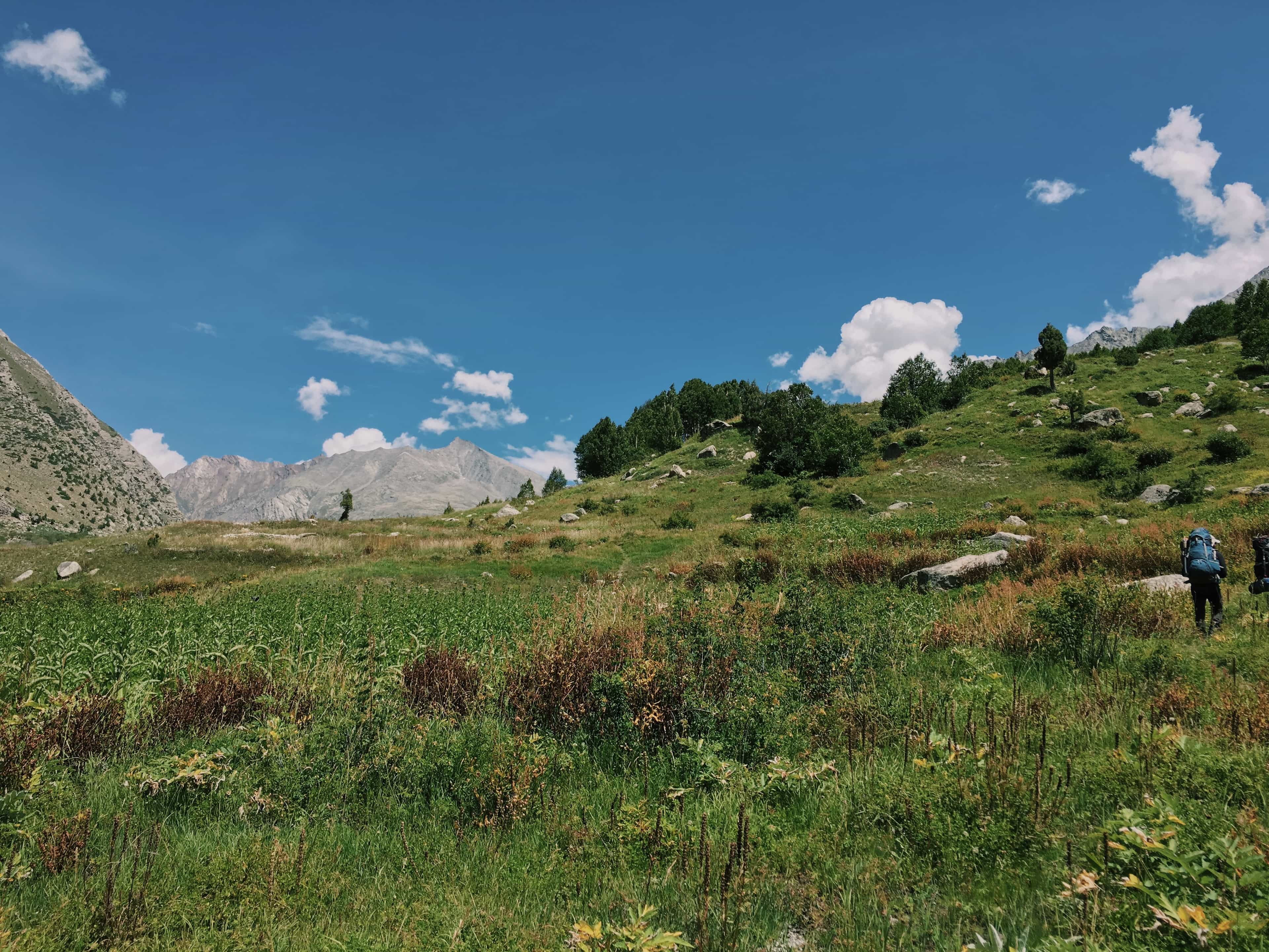 blog-image-0