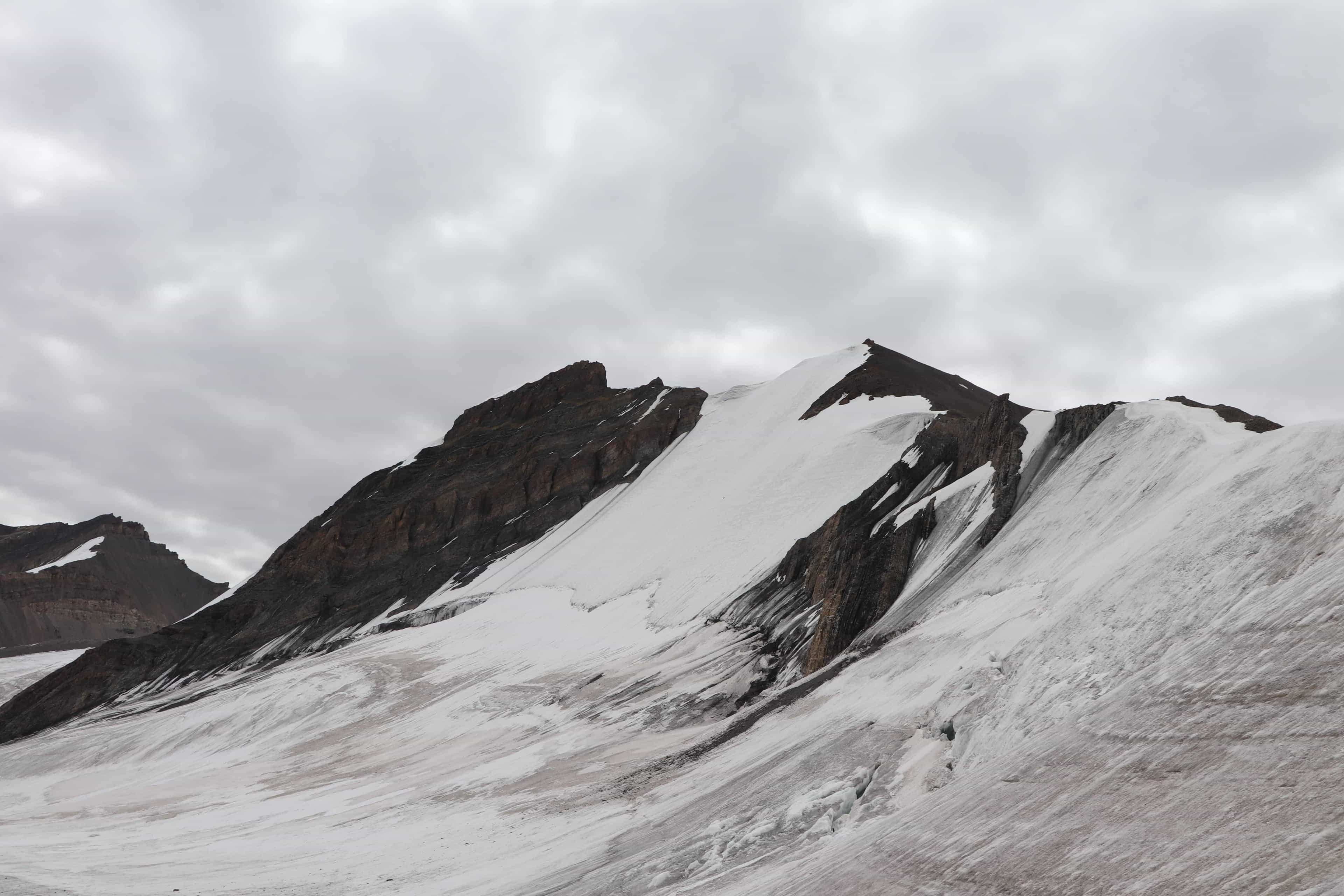 blog-image-0