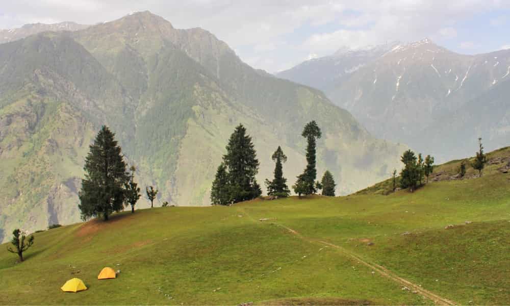 blog-image-0