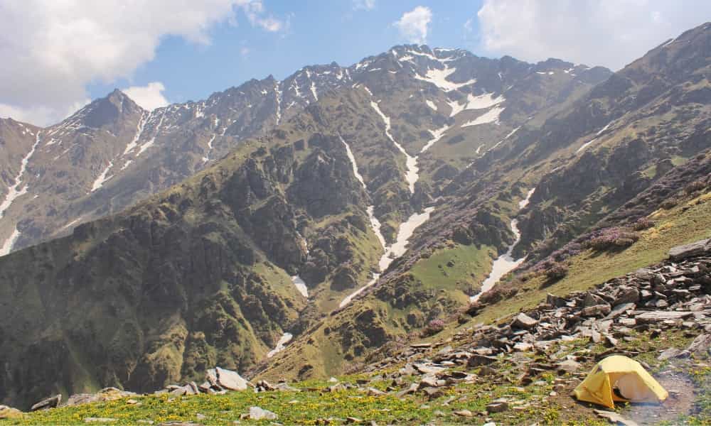 blog-image-0