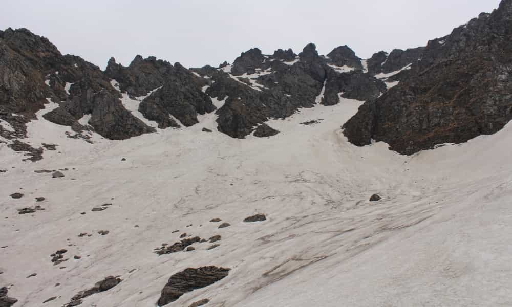 blog-image-0
