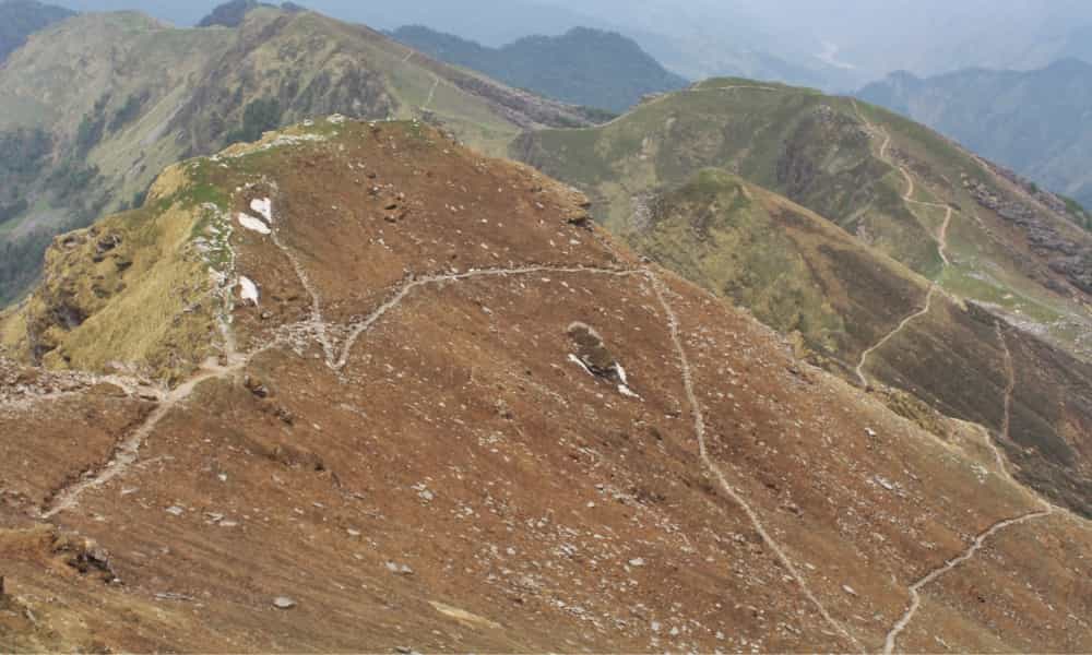blog-image-0