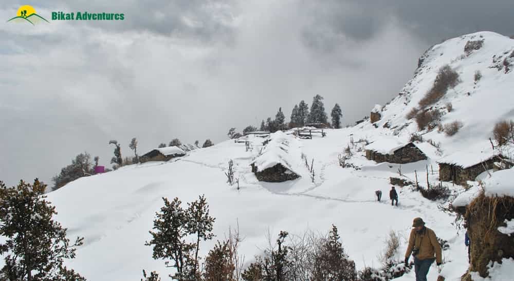 blog-image-0