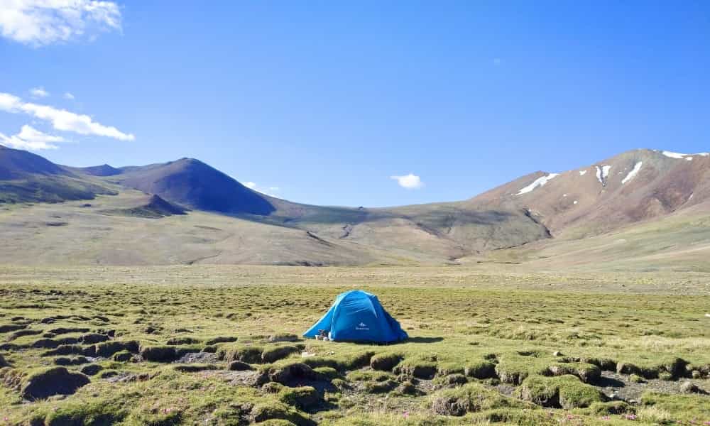blog-image-0