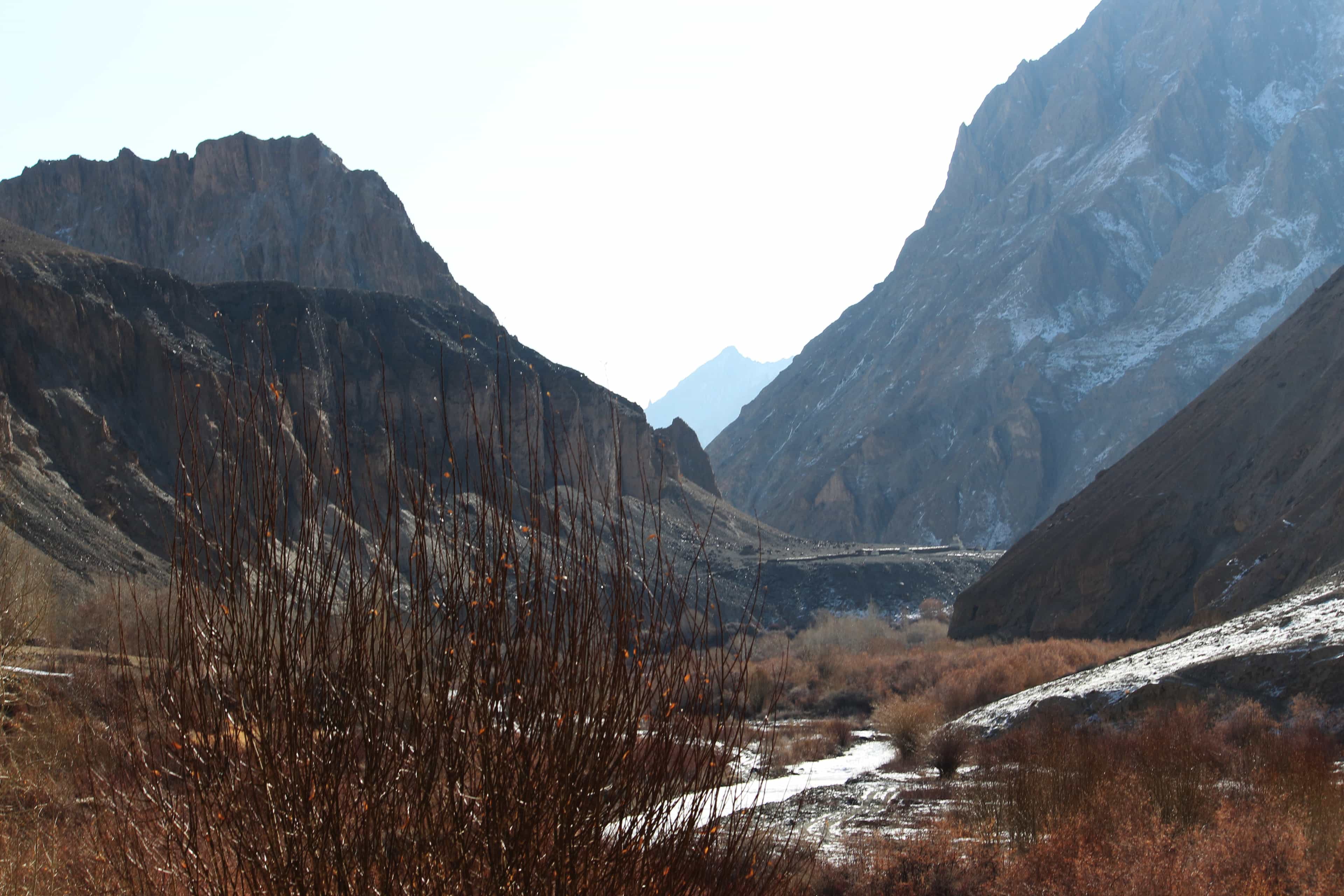 blog-image-0