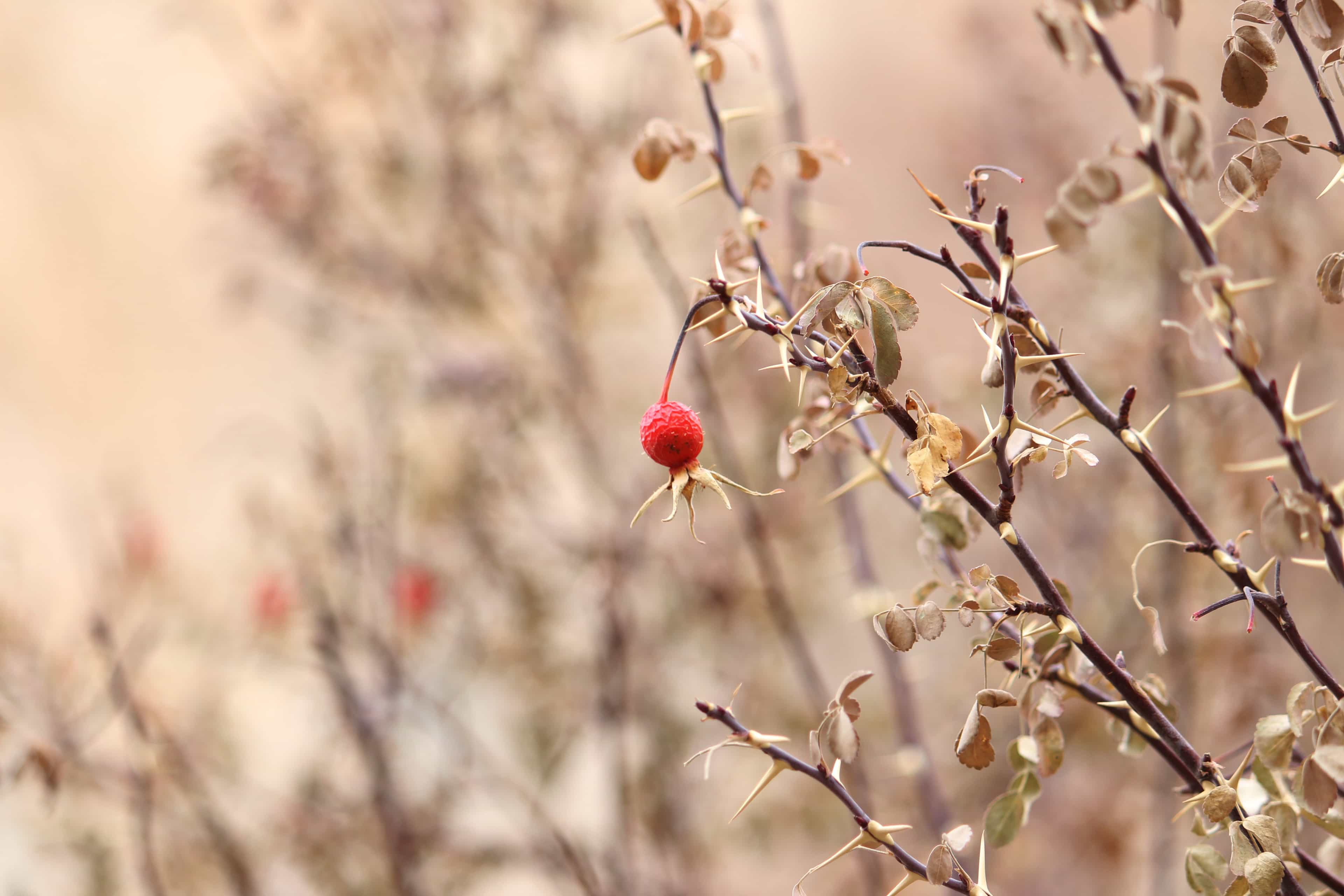 blog-image-0