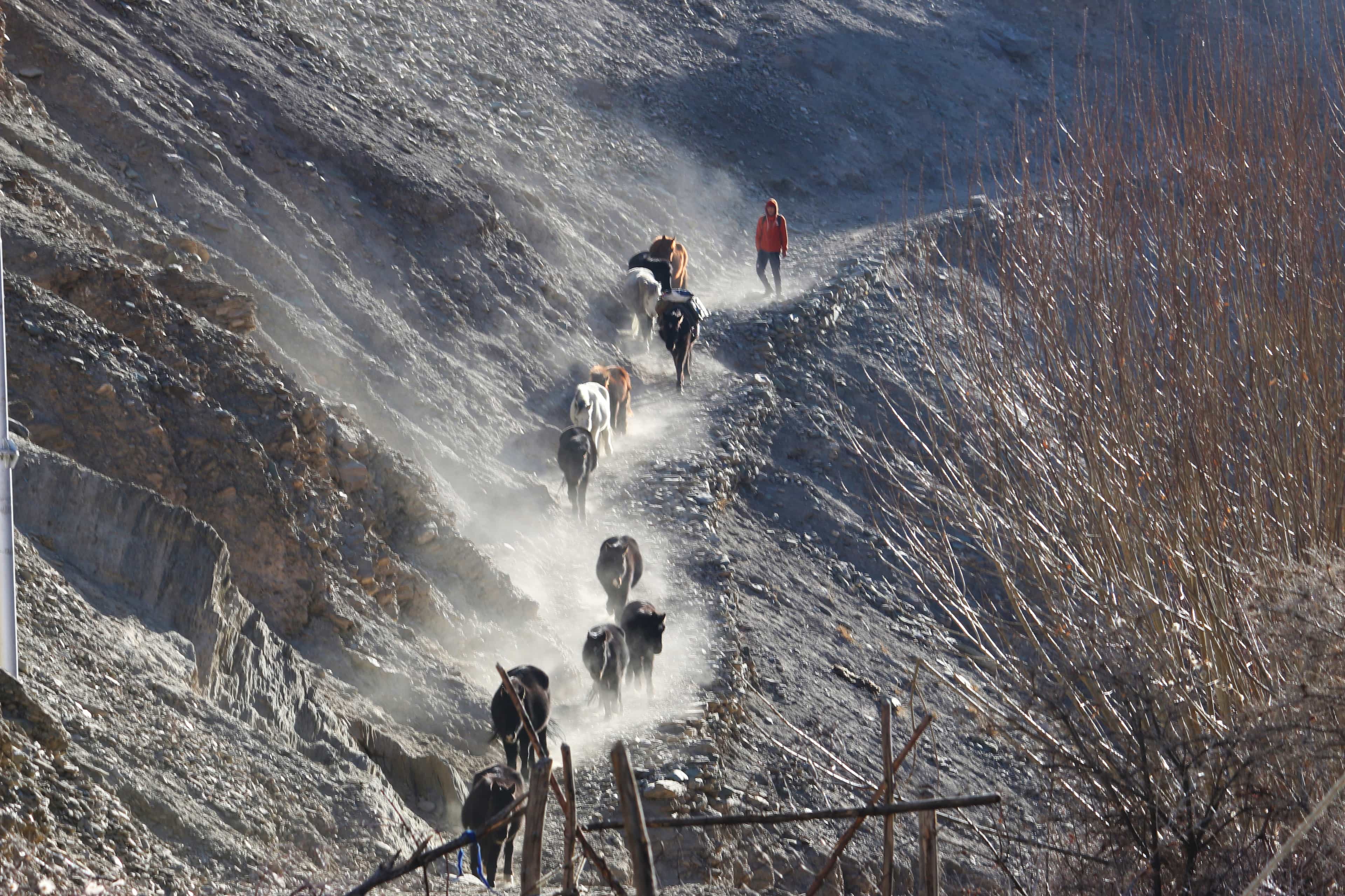 blog-image-0