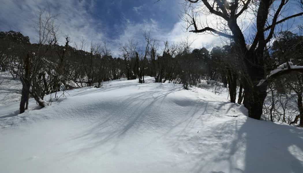 blog-image-0