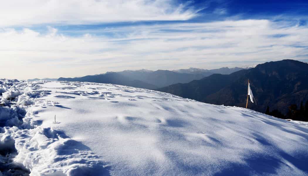 blog-image-0