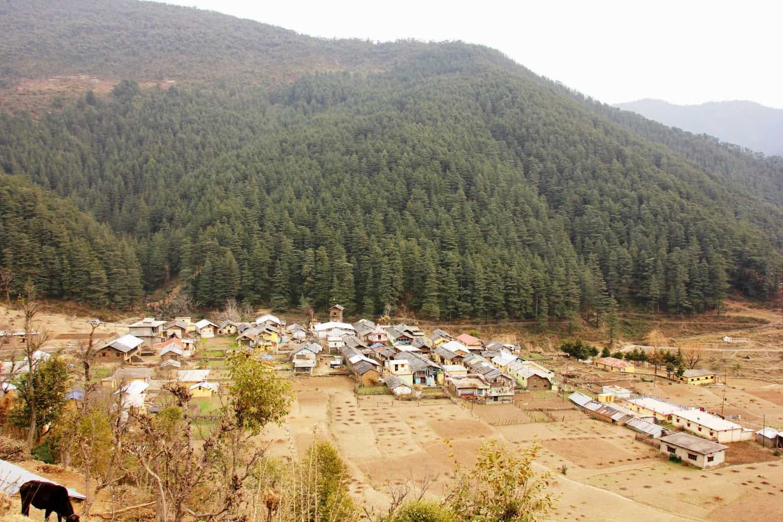 blog-image-1