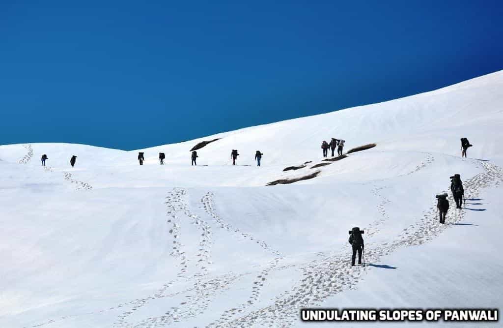 blog-image-0