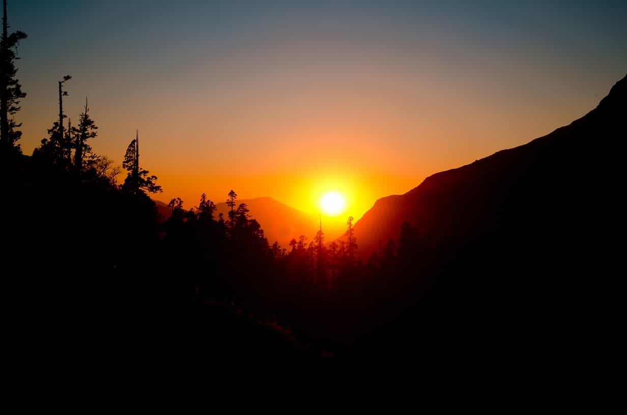 blog-image-0