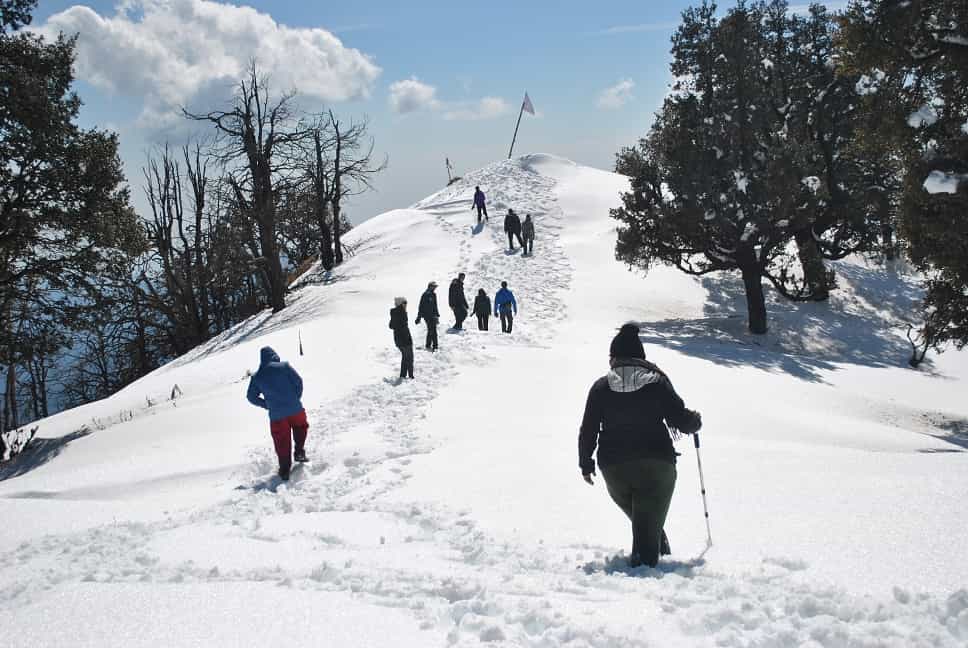 blog-image-0