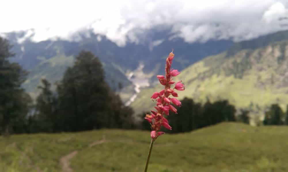 blog-image-0
