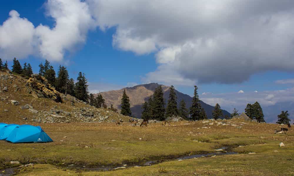 blog-image-0