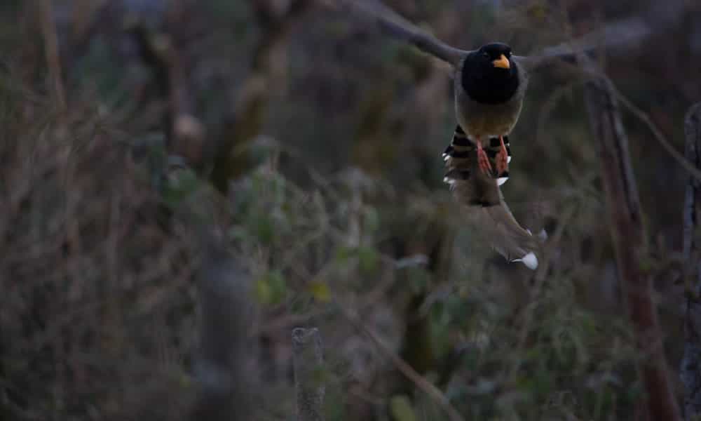 blog-image-0