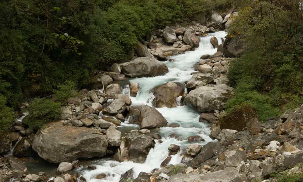 blog-image-1