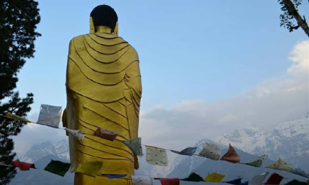 blog-image-0