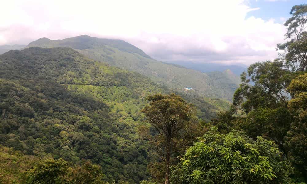 blog-image-0