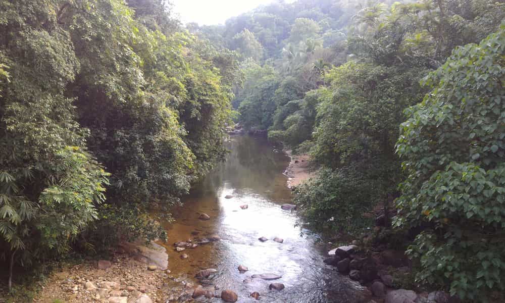 blog-image-0