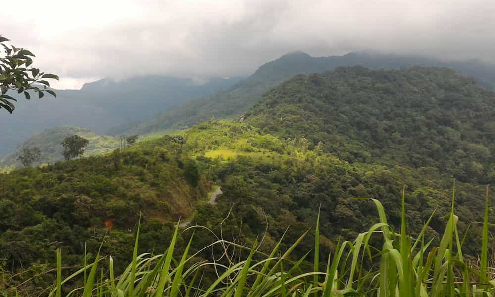 blog-image-1
