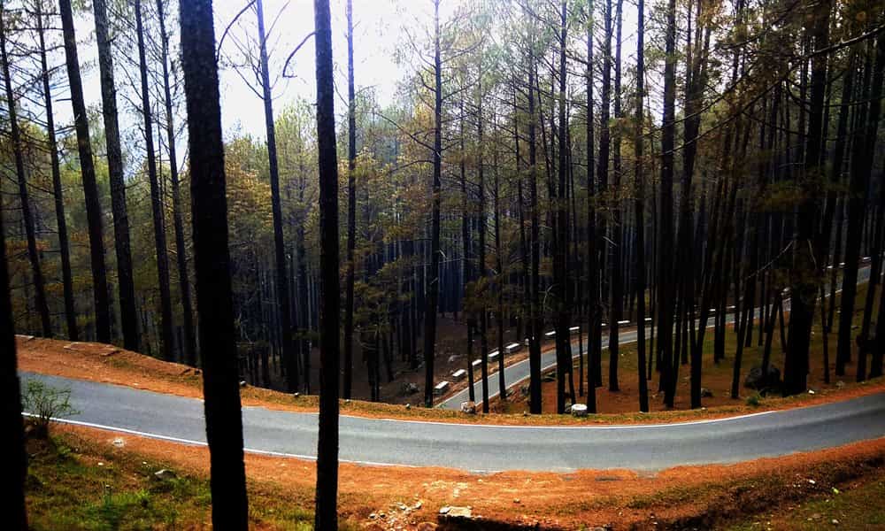 blog-image-0