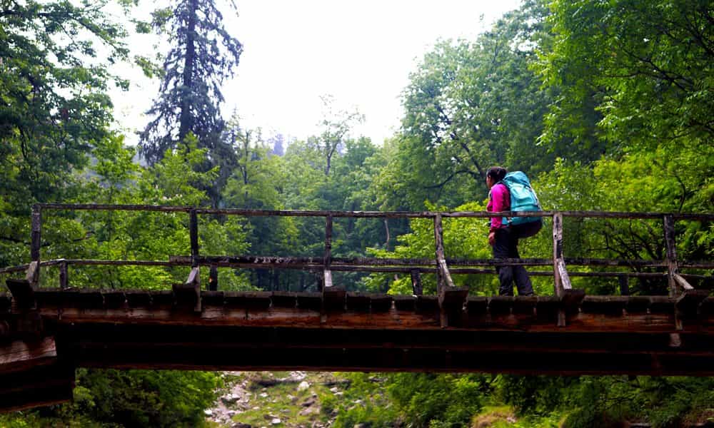 blog-image-0