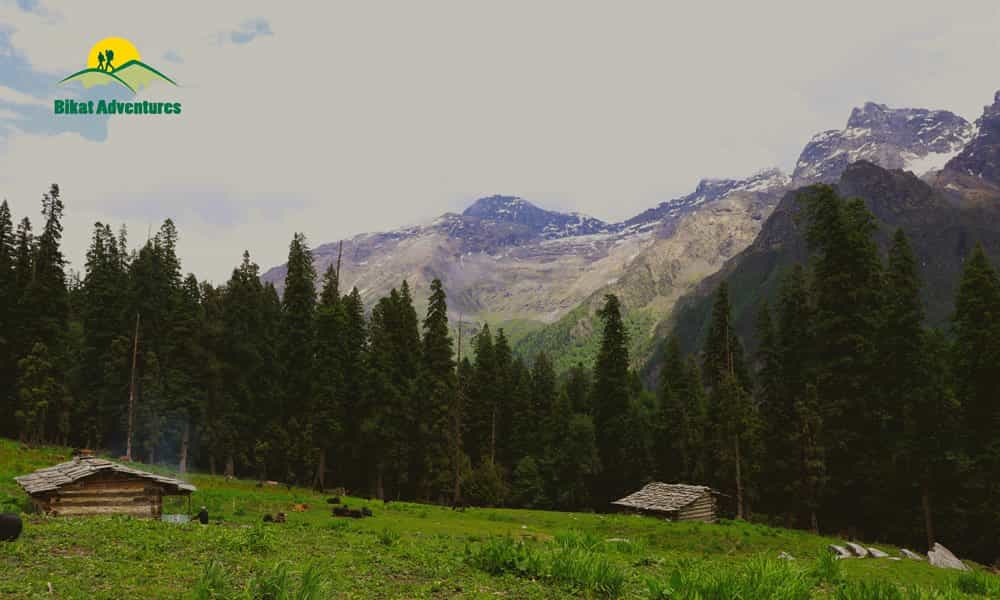 blog-image-0
