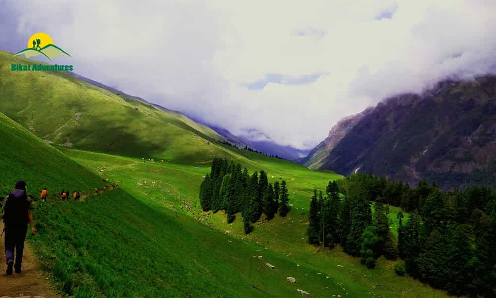 blog-image-0