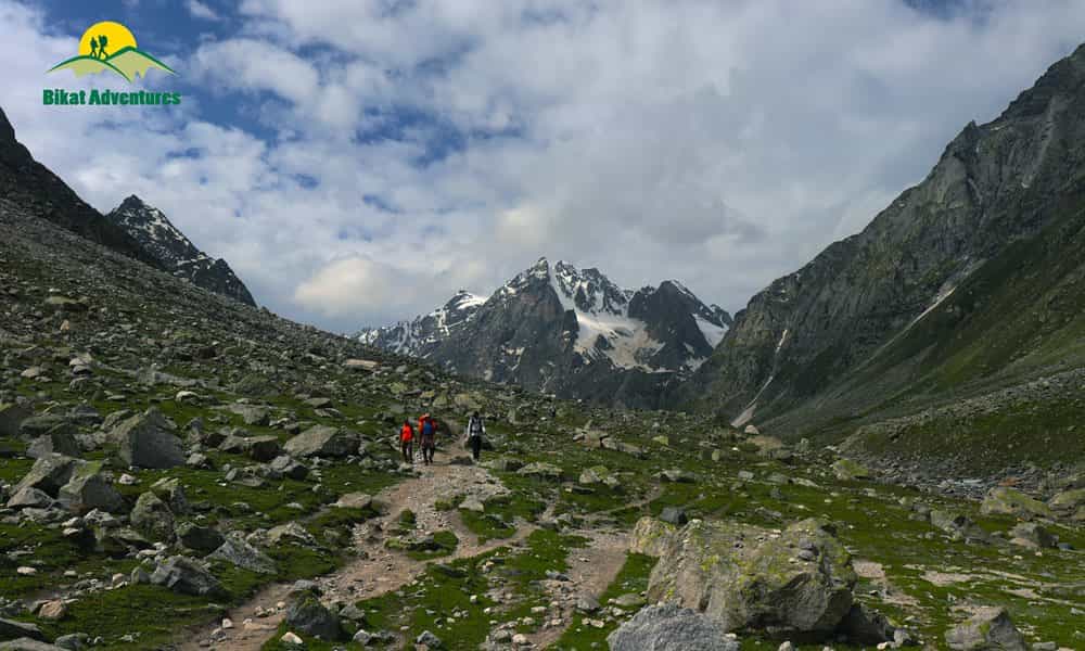 blog-image-0