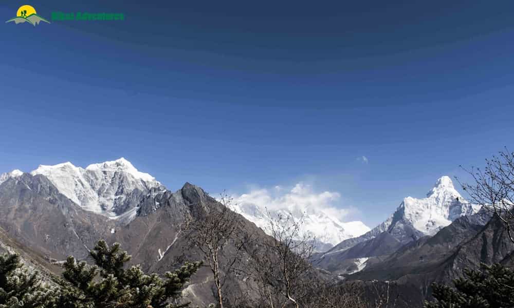 blog-image-0