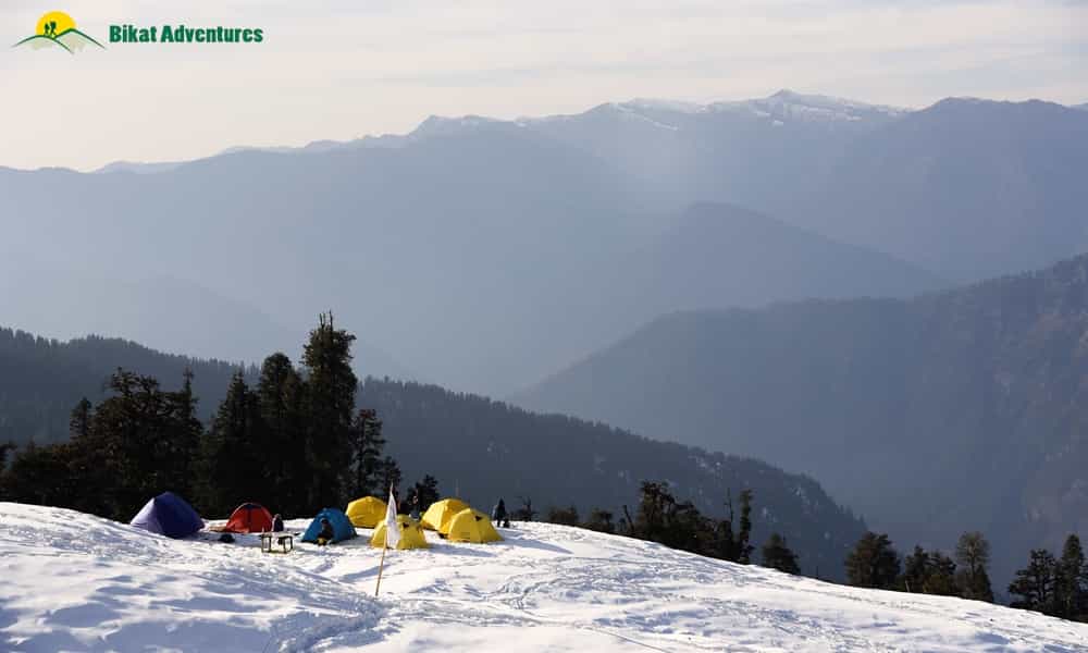 blog-image-0