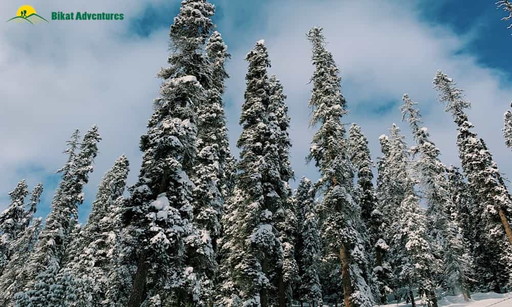 blog-image-0