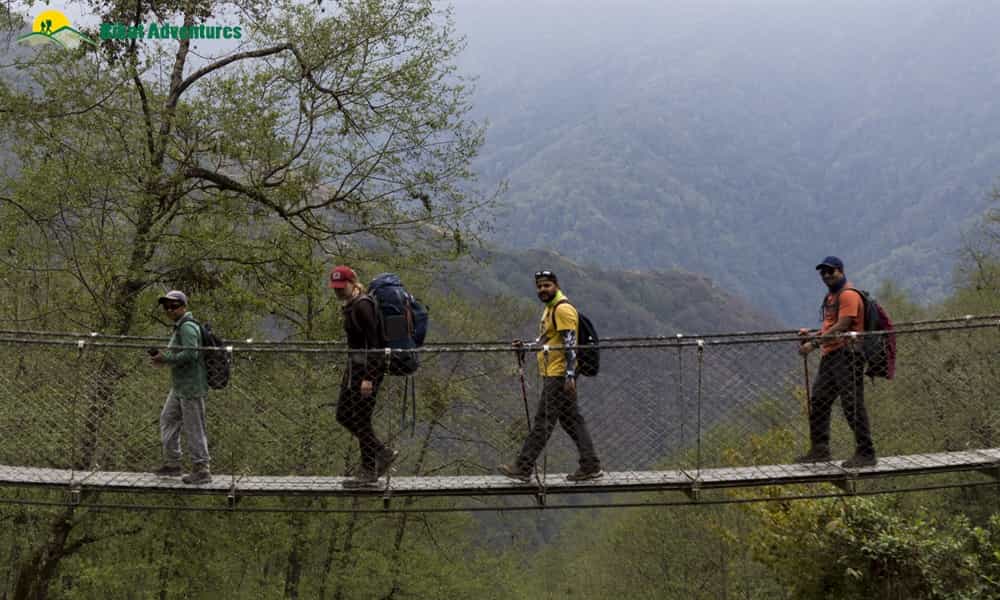blog-image-0