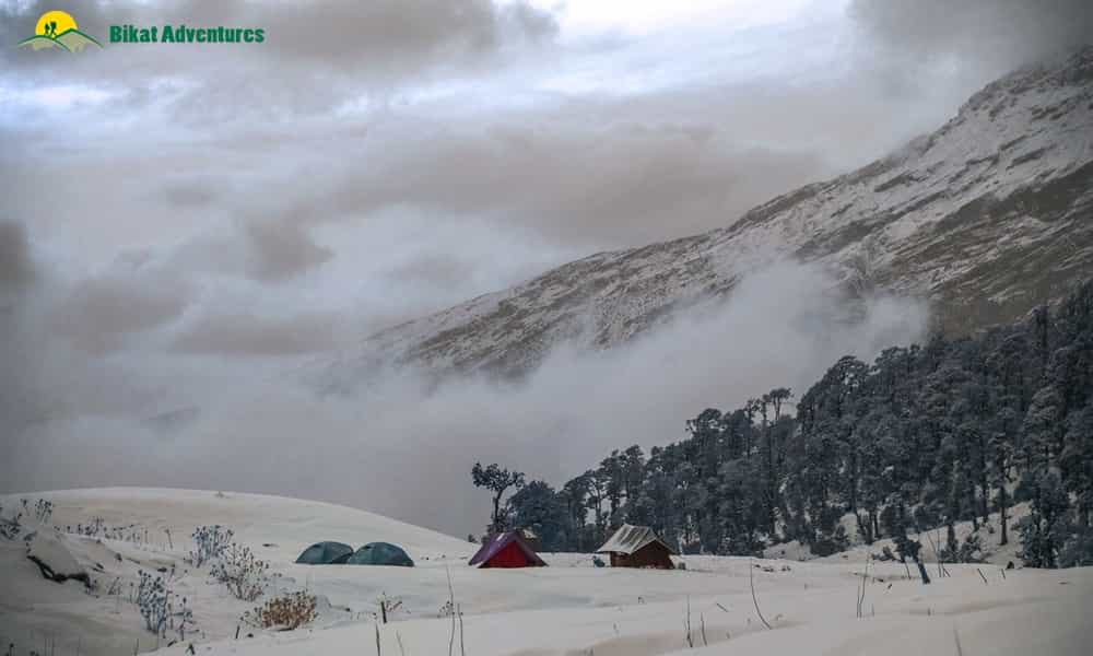 blog-image-0