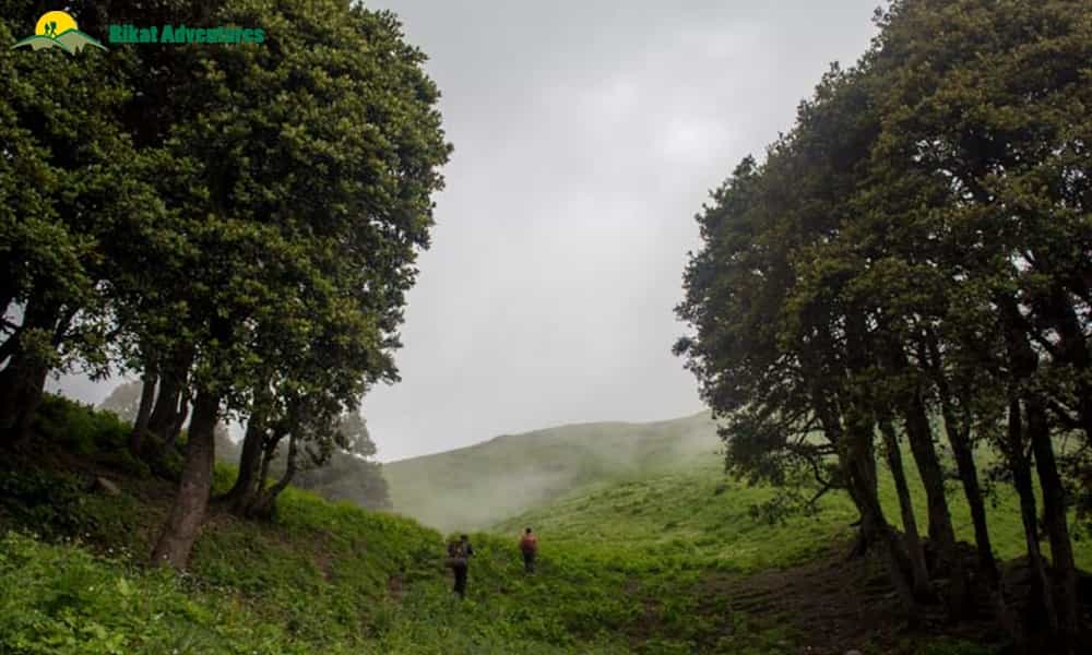 blog-image-0