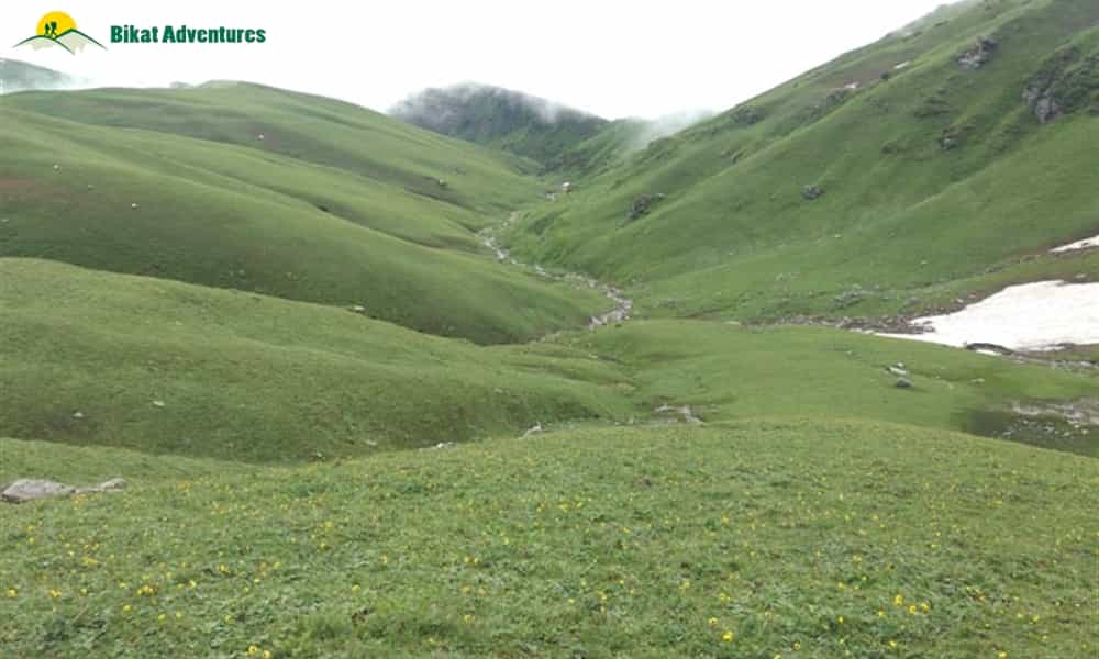 blog-image-0
