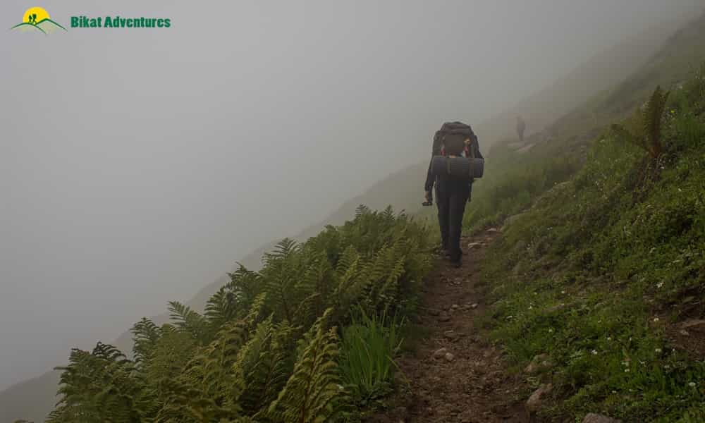 blog-image-0
