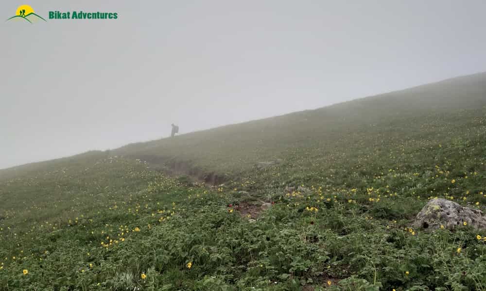 blog-image-0