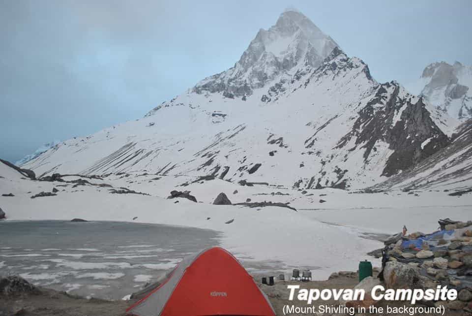blog-image-0