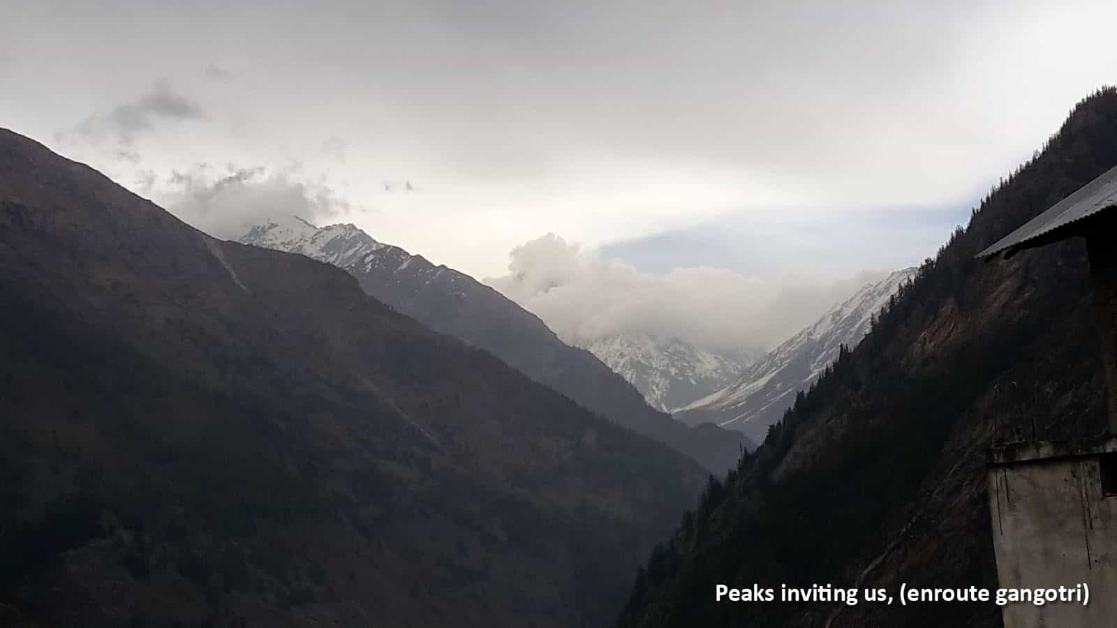 blog-image-0