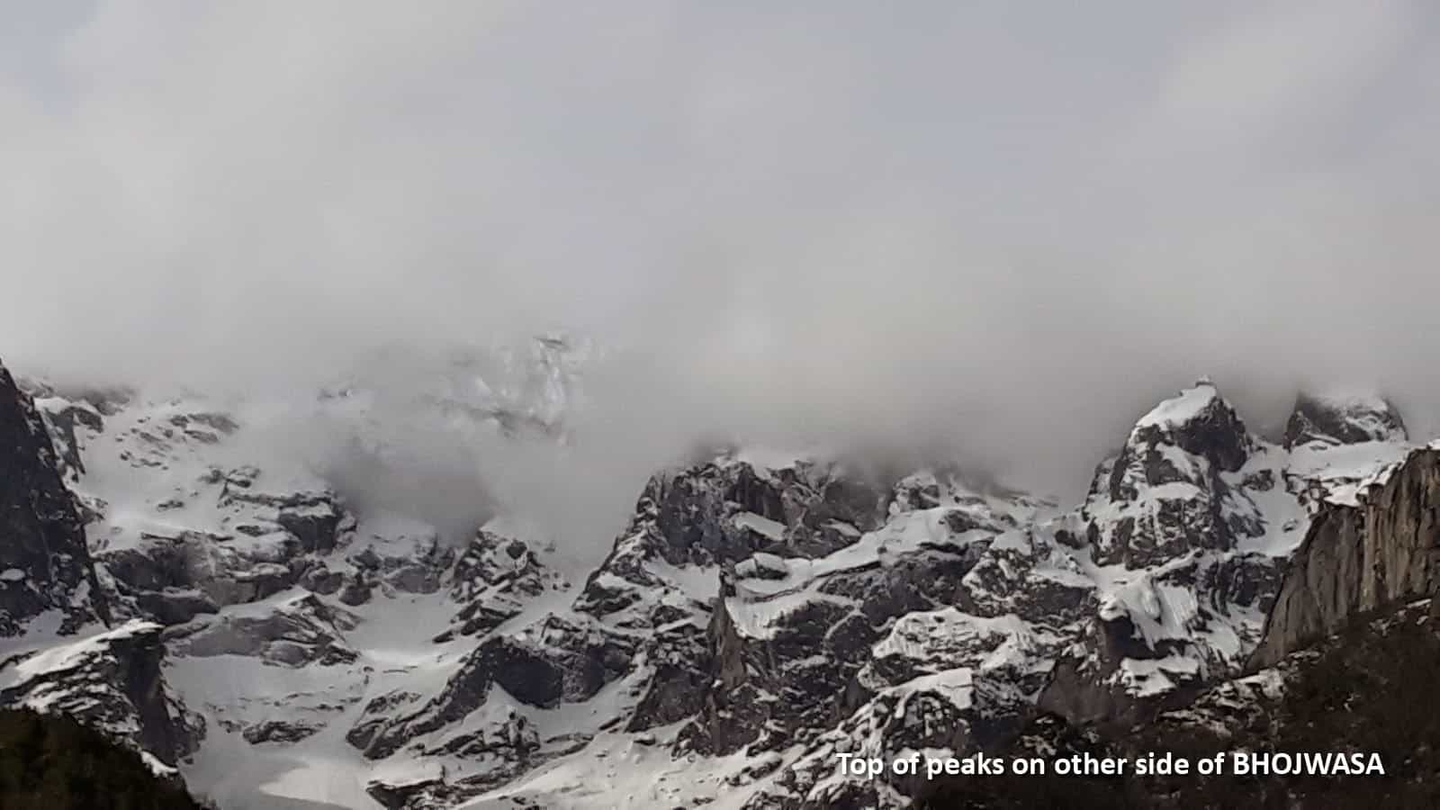 blog-image-0