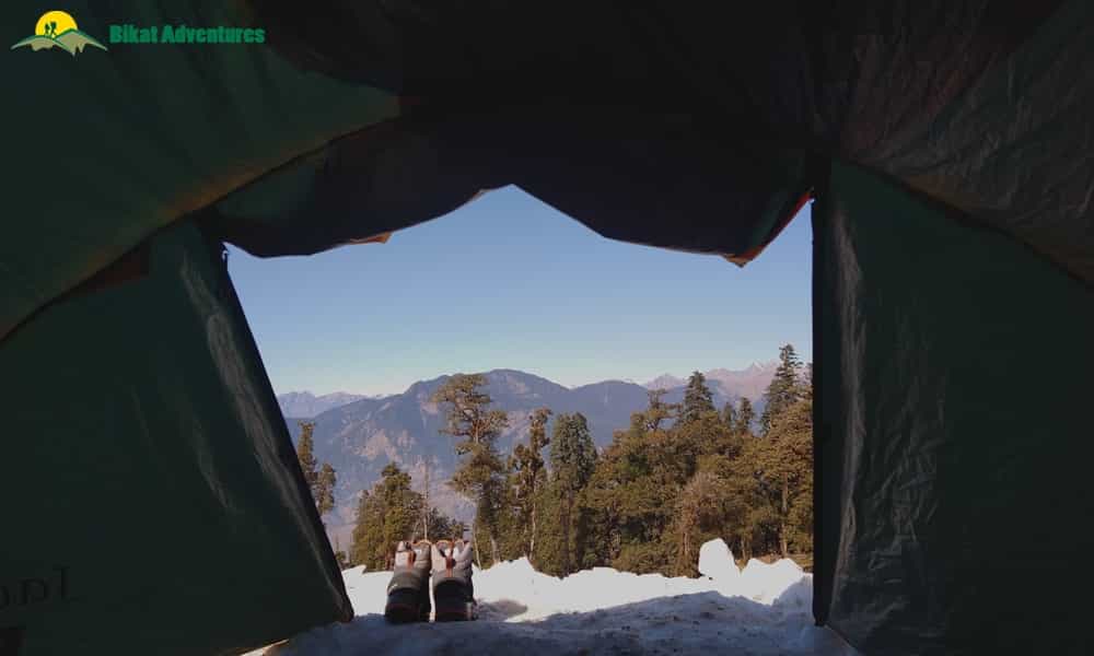 blog-image-0