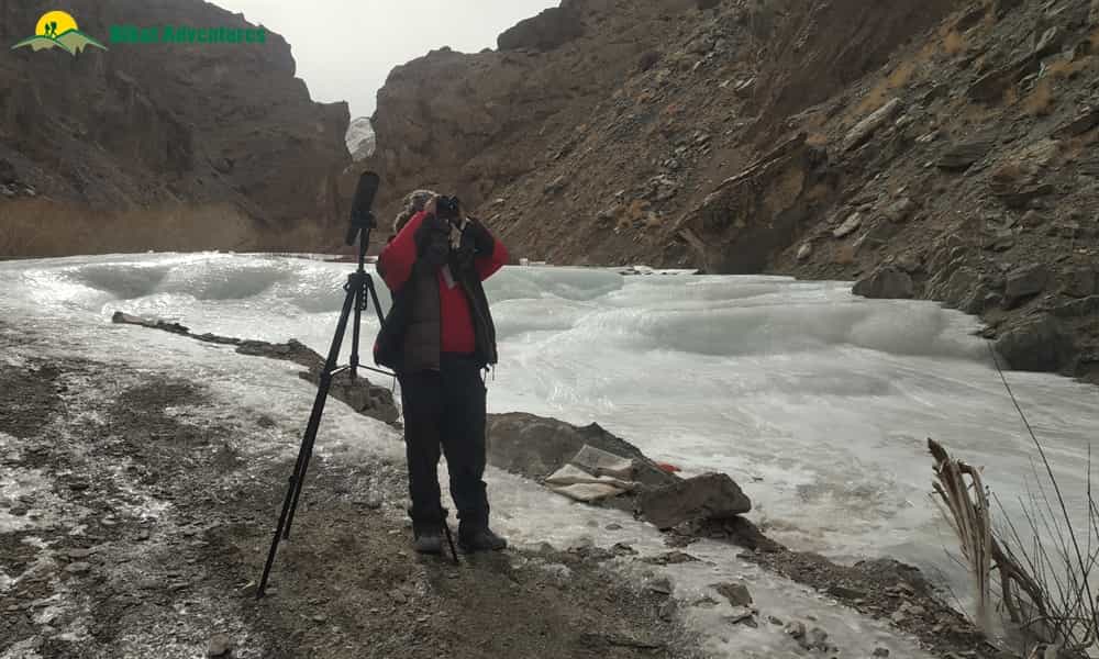 blog-image-0
