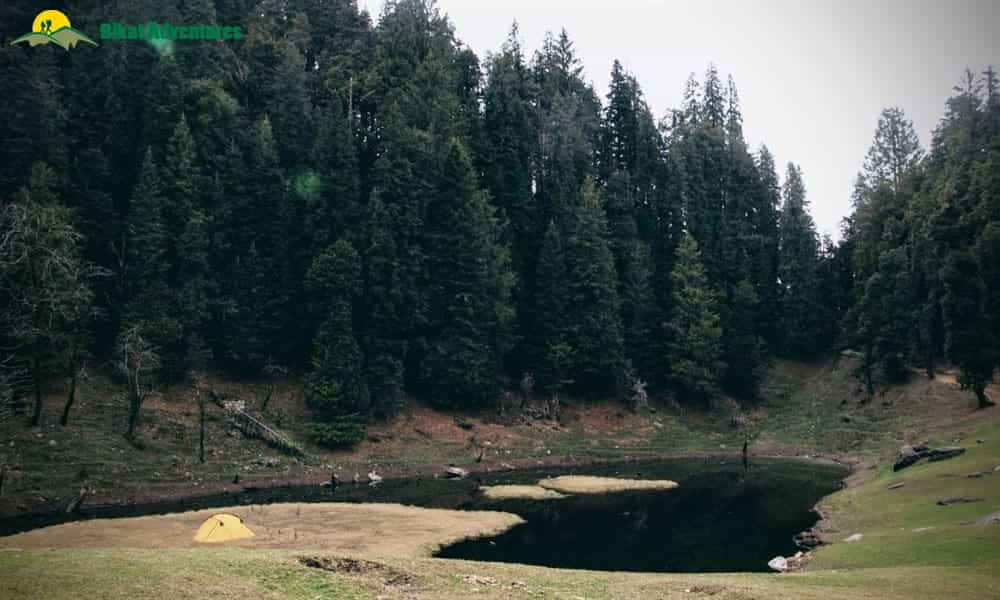 blog-image-0