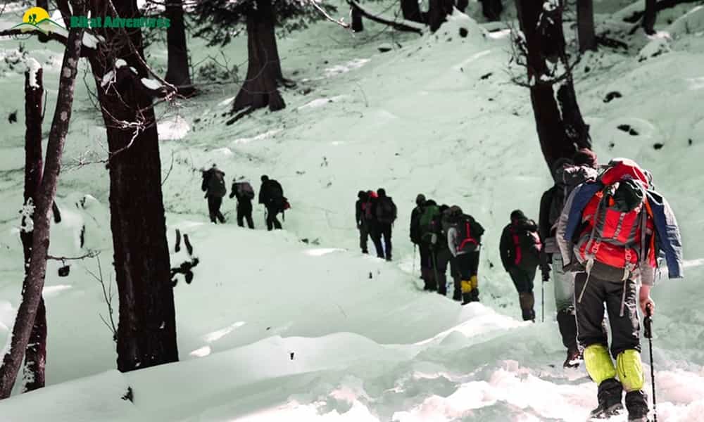 blog-image-0