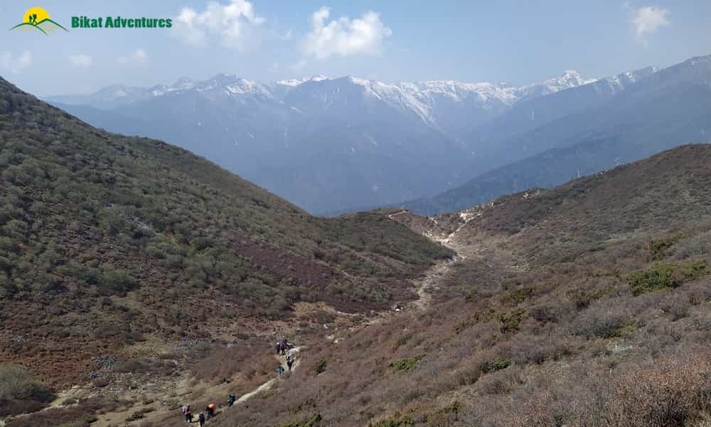 blog-image-0
