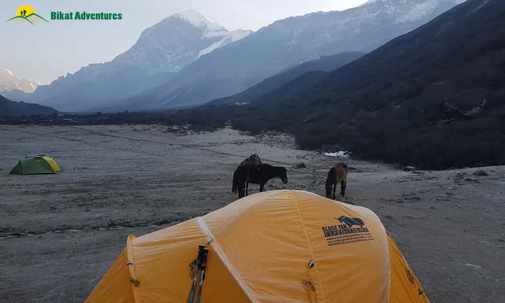 blog-image-0