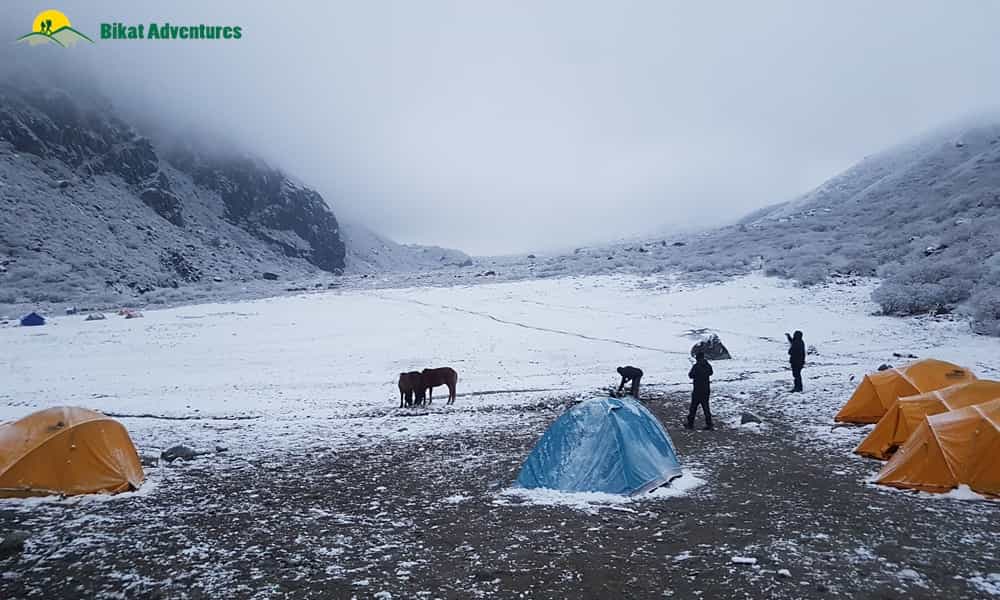 blog-image-0